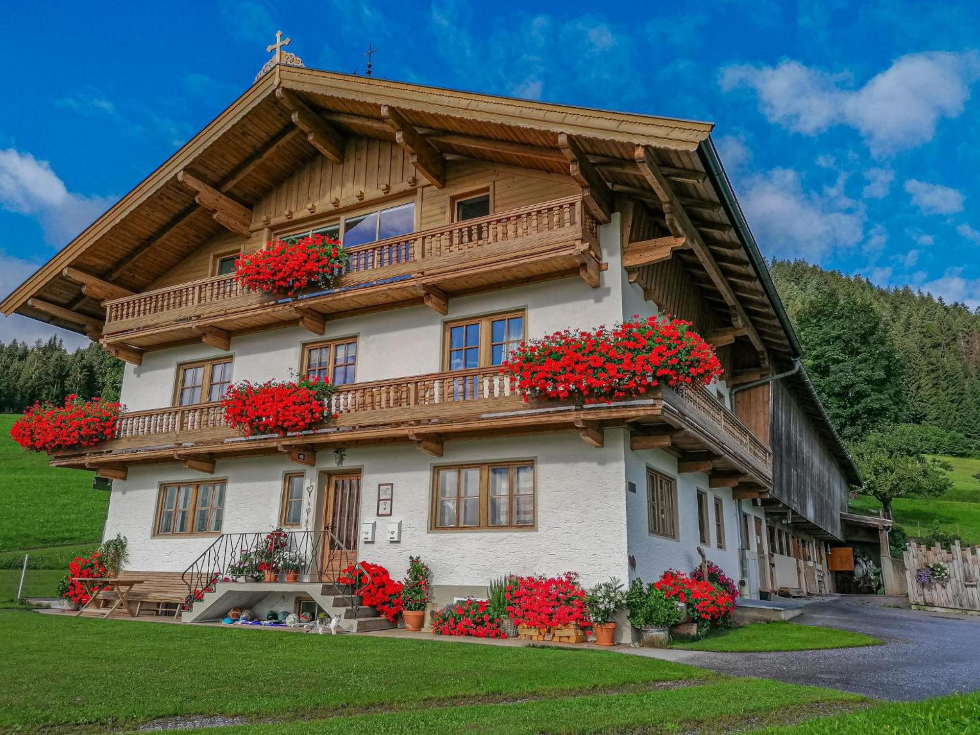 Apartamento Flicklhof Xl Hopfgarten im Brixental Exterior foto